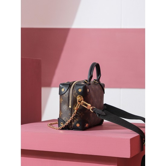  M45571 PETITE MALLE SOUPLE handbag