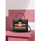 TRIANON small handbag Nicolas Ghesquière，非常有特色的一个高颜值系列，无论是手提，手拧，斜挎，单肩使用，都是非常有特色的高颜值！
