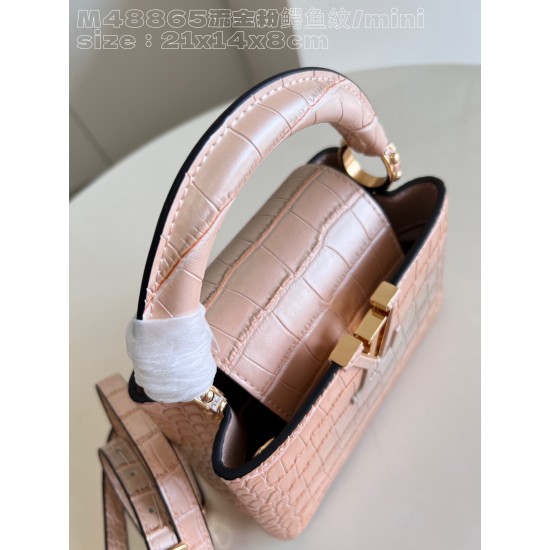 M48865Capucines mini handbagsize：21x14x8cm