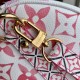 M22976Speedy Bandoulire 25 