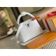 M22003 N93429Capucines Mini Handbag21x14x8