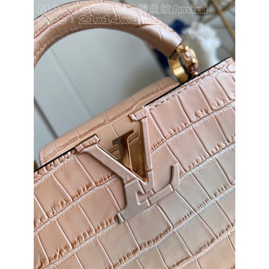  M48865Capucines mini handbagsize：21x14x8cm