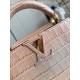  M48865Capucines mini handbagsize：21x14x8cm