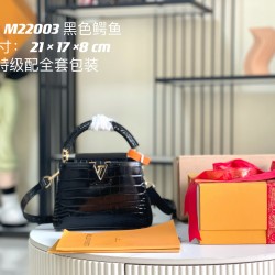 M22003 N93429Capucines Mini Handbag21x14x8