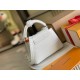 M22003 N93429Capucines Mini Handbag21x14x8