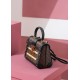 TRIANON small handbag Nicolas Ghesquière，非常有特色的一个高颜值系列，无论是手提，手拧，斜挎，单肩使用，都是非常有特色的高颜值！