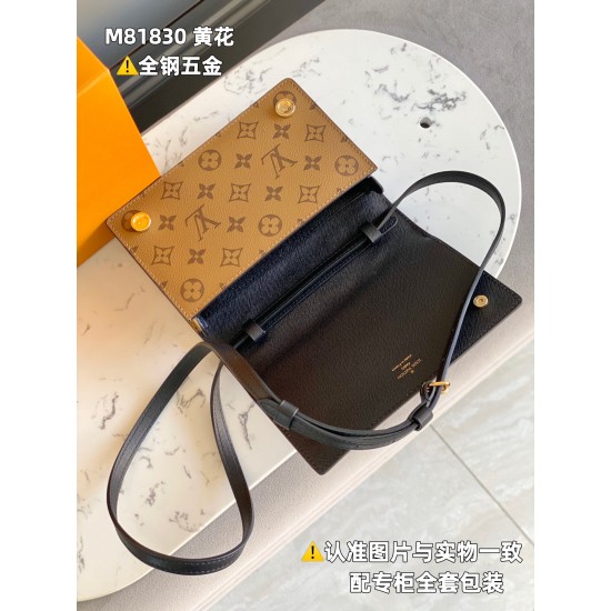 LV BOOK CHAIN WALLET Handbag M81830:20x14x4CM