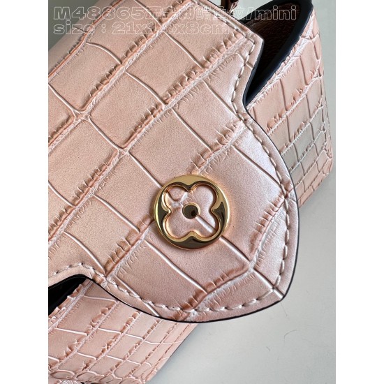  M48865Capucines mini handbagsize：21x14x8cm