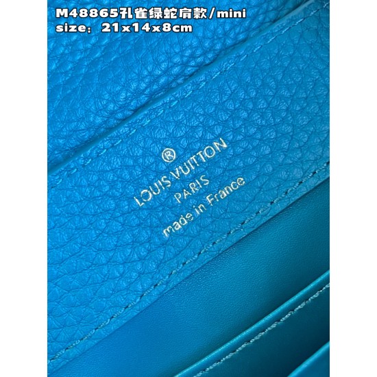 M48865Capucines  size:21x14x8 cm