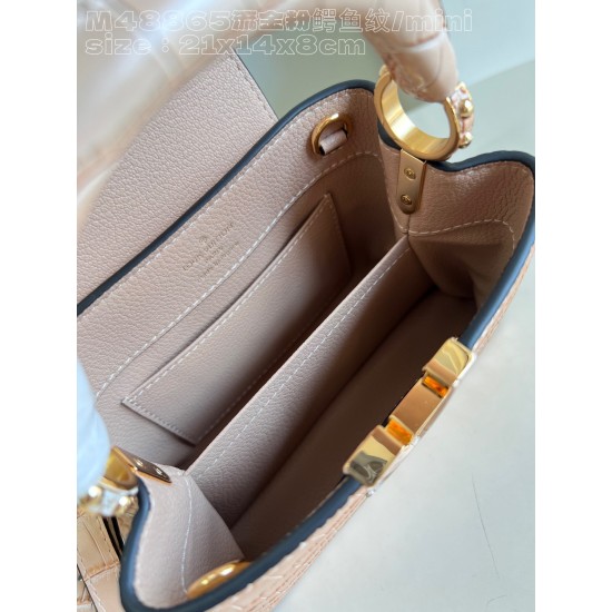  M48865Capucines mini handbagsize：21x14x8cm