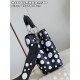 M48865 LV x YK Capucines BBsize：27x18x9cm