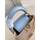  M48865Capucines Mini Handbag21 x 14 x 8