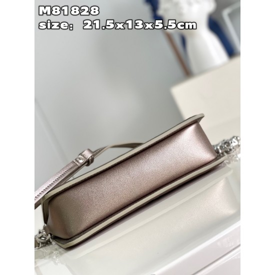 M81828 Lexington Carrying Case