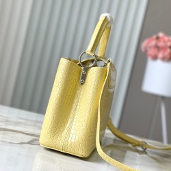 N93419/M48865Capucines BB HandbagSize: 31.5 * 20 * 11 cm