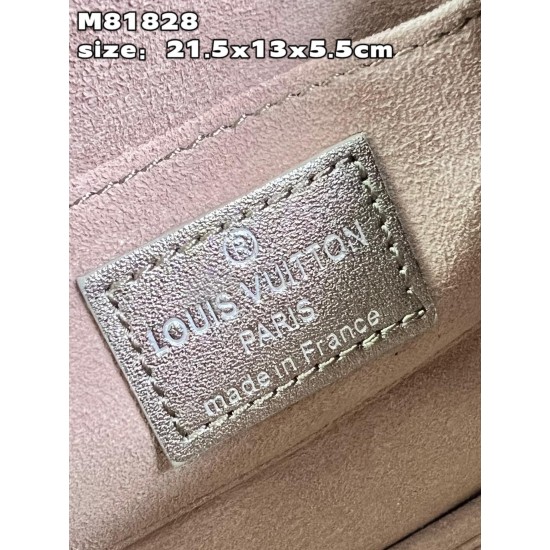 M81828 Lexington Carrying Case