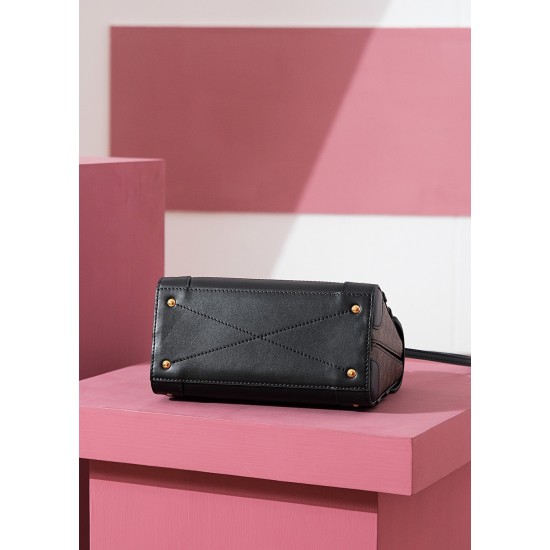 TRIANON small handbag Nicolas Ghesquière，非常有特色的一个高颜值系列，无论是手提，手拧，斜挎，单肩使用，都是非常有特色的高颜值！
