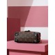  M45571 PETITE MALLE SOUPLE handbag