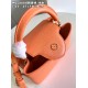 Capucines BB HandbagM22055size：27x18x9cm 