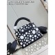 M48865 LV x YK Capucines minisize：21x14x8cm