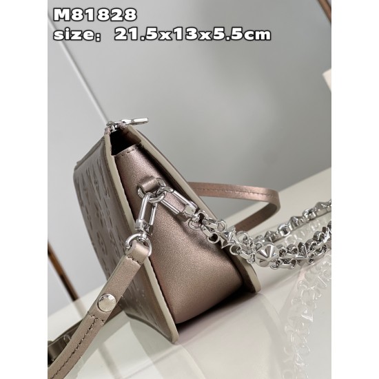 M81828 Lexington Carrying Case