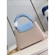  M48865Capucines Mini Handbag21 x 14 x 8