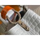 M22003 N93429Capucines Mini Handbag21x14x8