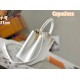 M54663CAPUCINES Medium Handbag31cmx21x11cm